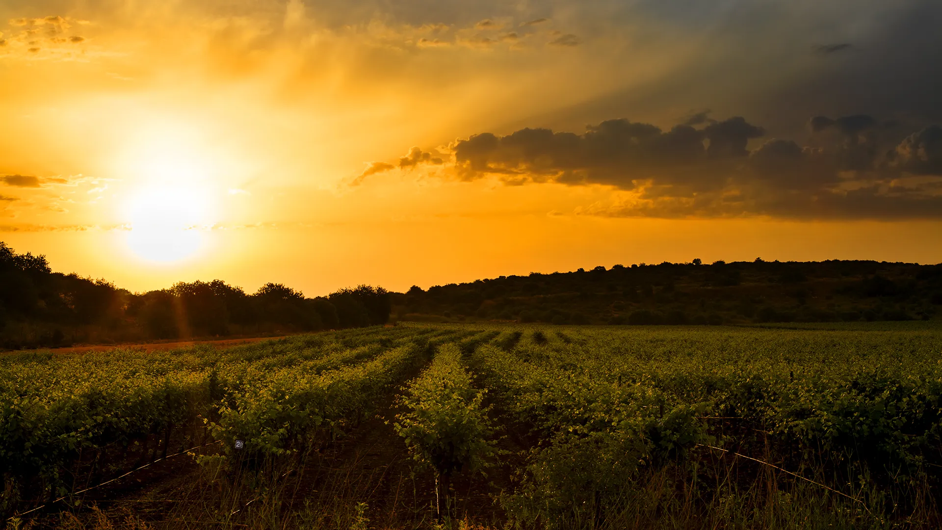 Agricultural Equipment
